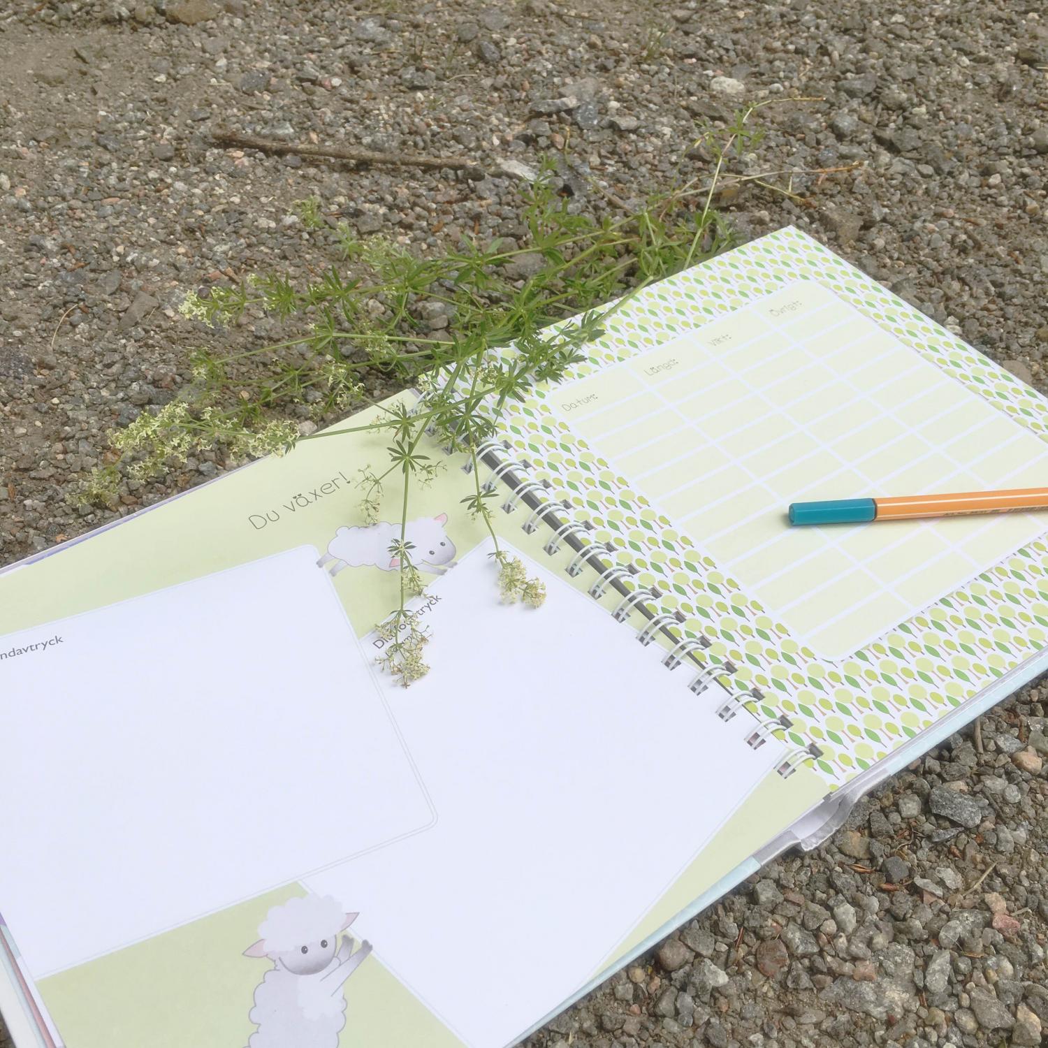 Lilla hjärtat den allra första b om dig - Bild 2