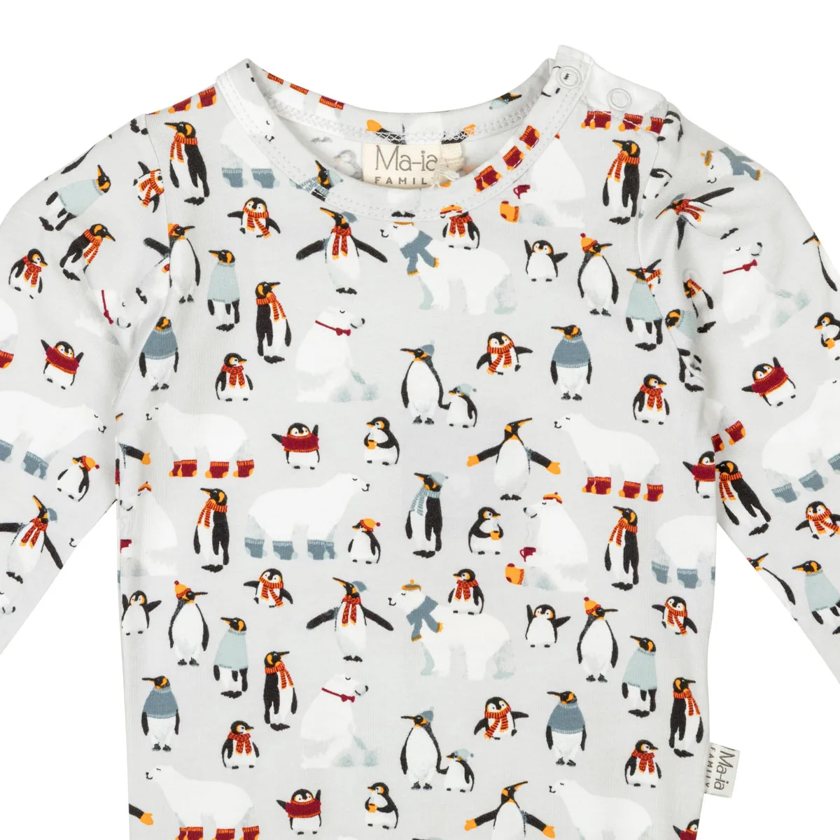 Body antarktis - Bild 3