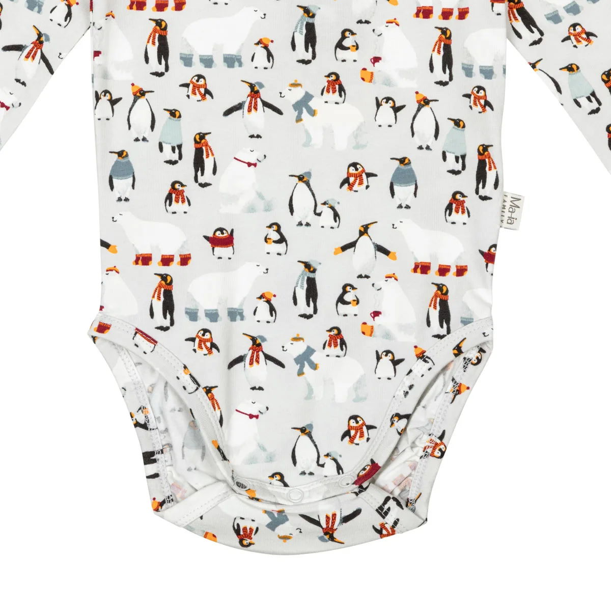 Body antarktis - Bild 4