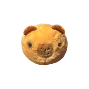 Barry capybara bounce ty