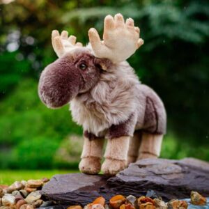 Animigos naturens älgs värld