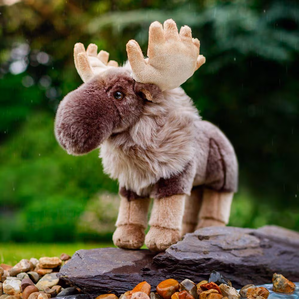 Animigos naturens älgs värld